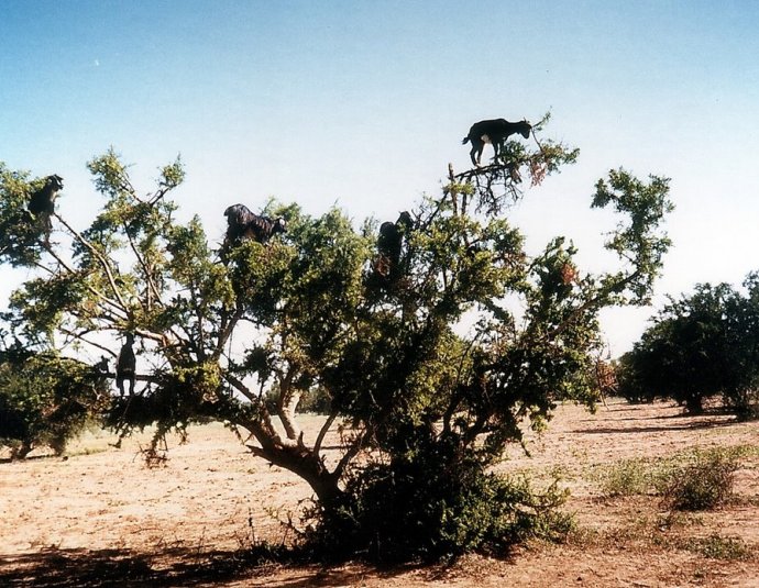 &copy; panoramio / Daniel.Bisson, http://www.panoramio.com/user/1961862