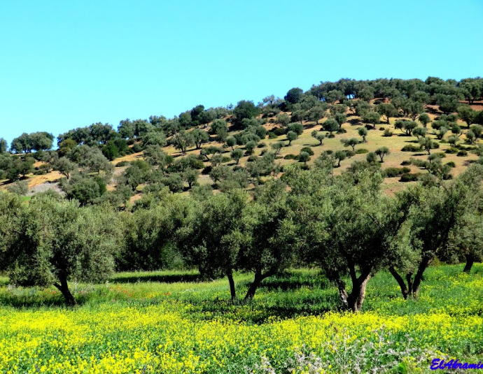&copy; panoramio / elakramine, http://www.panoramio.com/user/831427