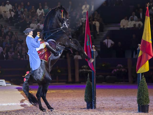 &copy; Salon du Cheval / Association du Salon du Cheval