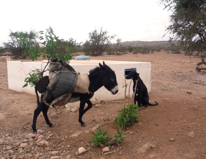 &copy; panoramio / Jesús Municio, http://www.panoramio.com/user/2252408
