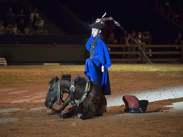 &copy; Salon du Cheval / Association du Salon du Cheval
