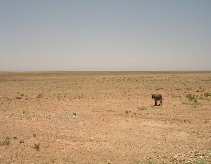 &copy; panoramio / Zi?bol, http://www.panoramio.com/user/12954