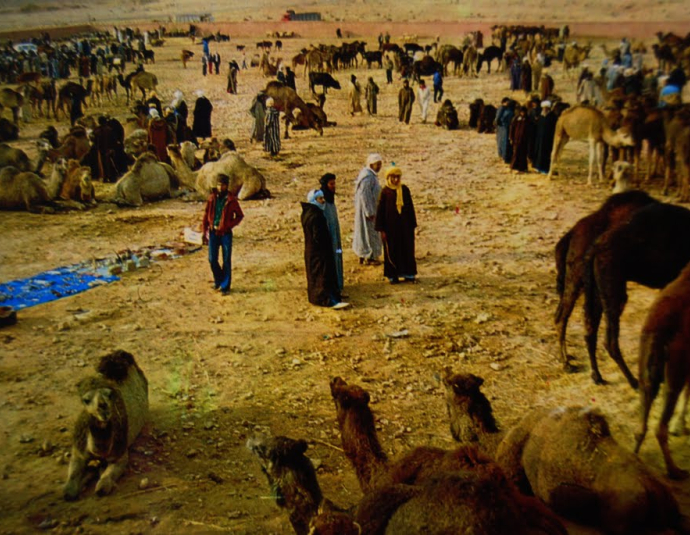 &copy; panoramio / il medico, http://www.panoramio.com/user/4169077