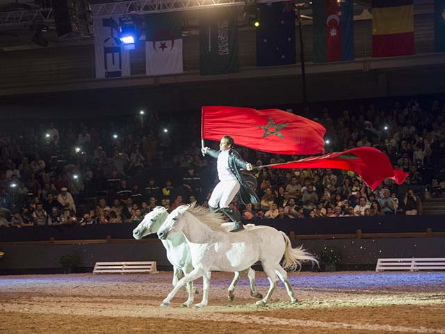 &copy; Salon du Cheval / Association du Salon du Cheval