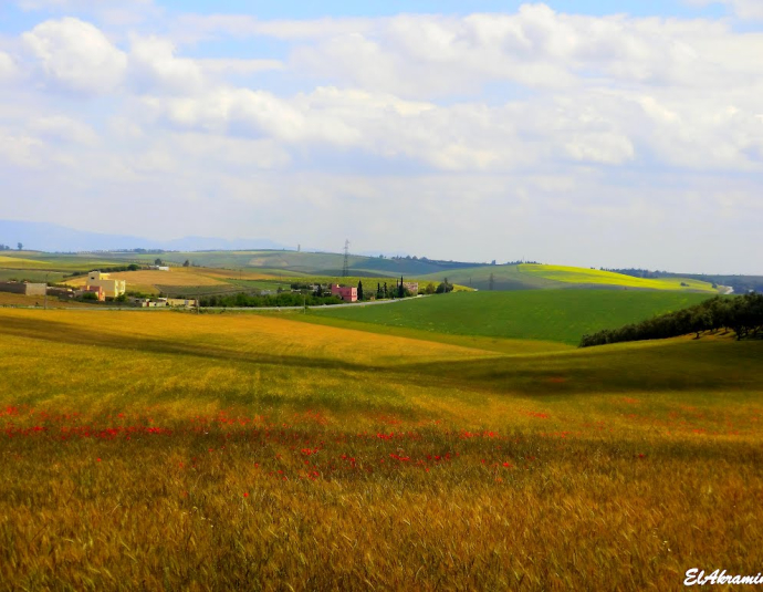 &copy; panoramio / elakramine, http://www.panoramio.com/user/831427