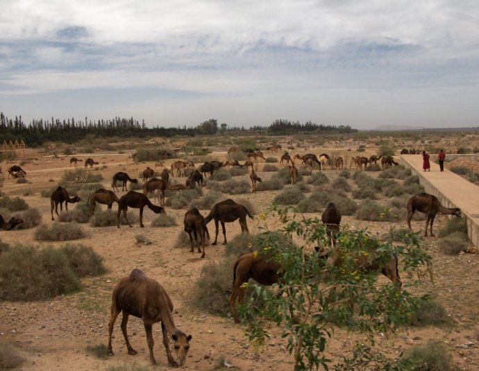 &copy; panoramio / Christopher Phillips, http://www.panoramio.com/user/599368