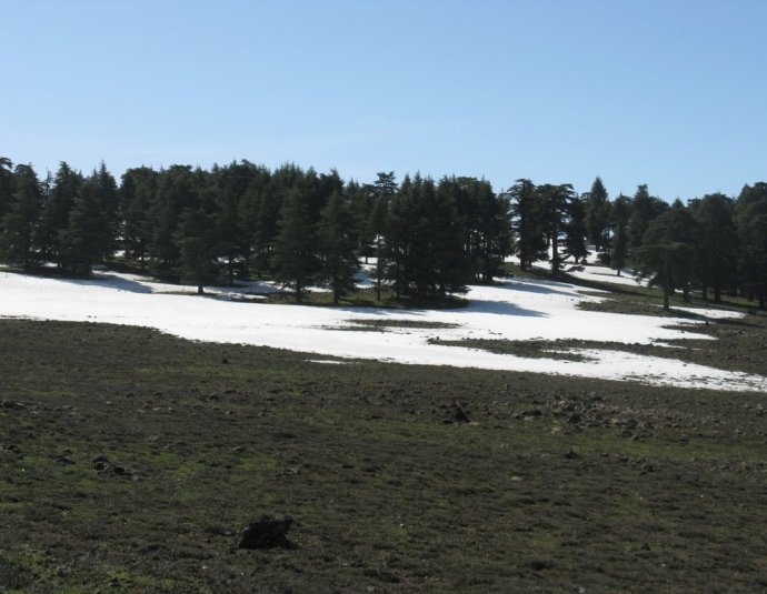 &copy; panoramio / elakramine, http://www.panoramio.com/user/831427