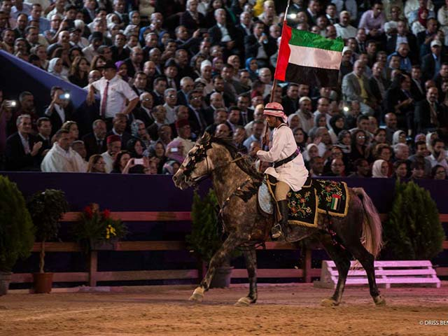 &copy; Salon du Cheval / Association du Salon du Cheval