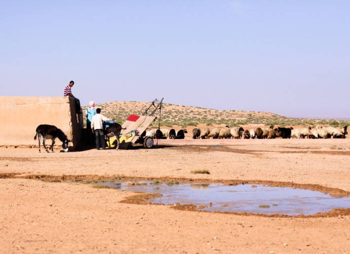 &copy; discoveringjerada.com / Discovering Berkane, Agence de l'Oriental / Discovering Jerada, Agence de l'Oriental