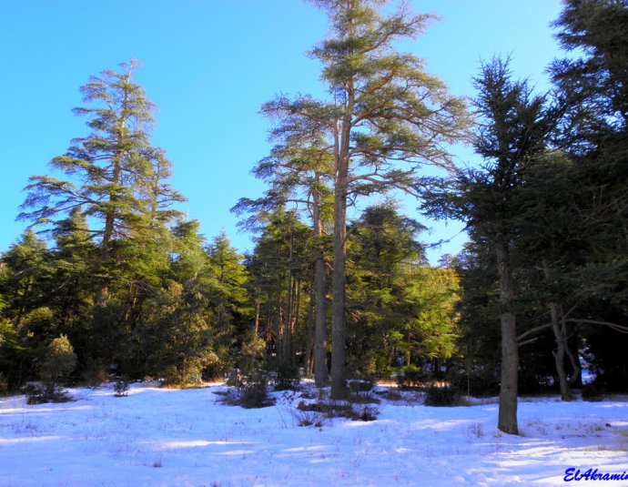 &copy; panoramio / elakramine, http://www.panoramio.com/user/831427