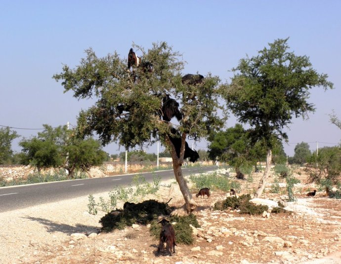 &copy; panoramio / elakramine, http://www.panoramio.com/user/831427