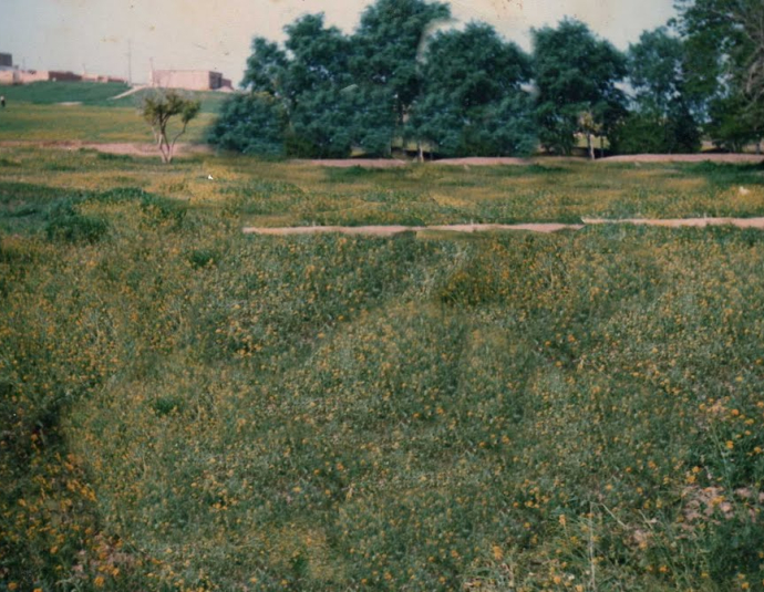 &copy; panoramio / abou yasser el kanouni, http://www.panoramio.com/user/4225036