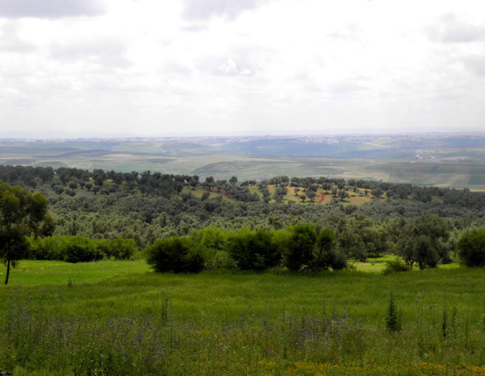 &copy; panoramio / elakramine, http://www.panoramio.com/user/831427