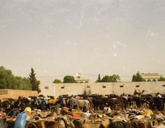 &copy; panoramio / L.kebir, http://www.panoramio.com/user/1867549