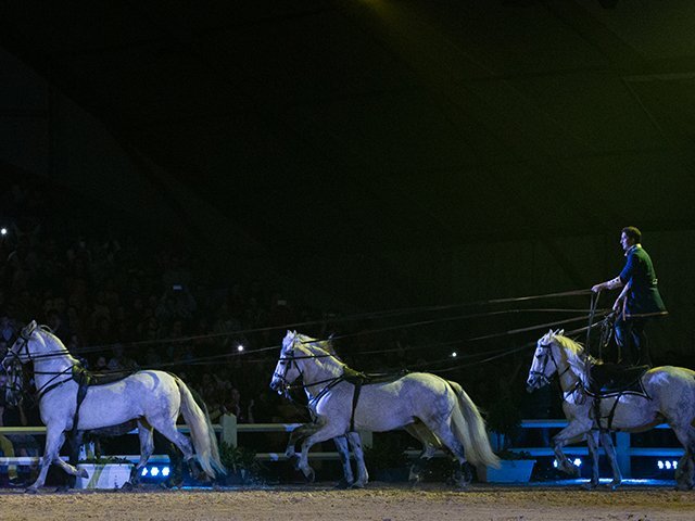 &copy; Salon du Cheval / Association du Salon du Cheval