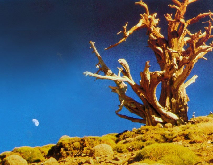 &copy; panoramio / Patrick Flament, http://www.panoramio.com/user/11971