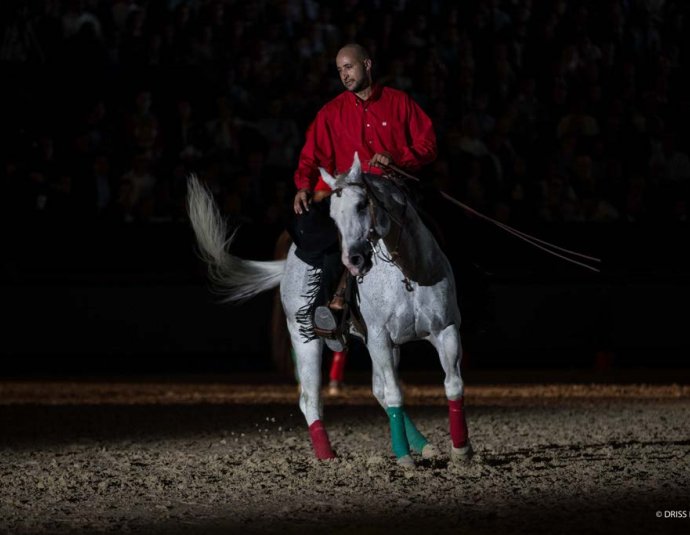 &copy; Salon du Cheval / Association du Salon du Cheval