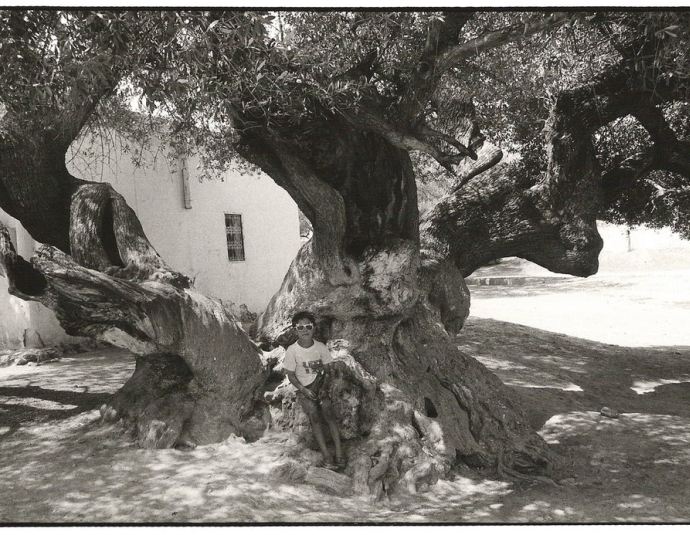 &copy; panoramio / Boumlik M., http://www.panoramio.com/user/1341563