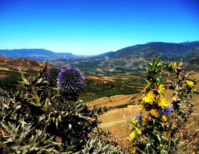 &copy; panoramio / kamotos, http://www.panoramio.com/user/3560758