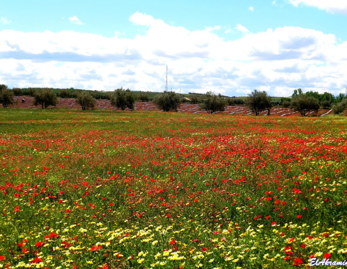 &copy; panoramio / elakramine, http://www.panoramio.com/user/831427
