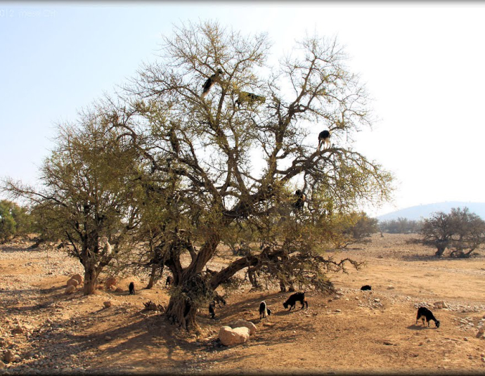 &copy; panoramio / ©polytropos, http://www.panoramio.com/user/162722