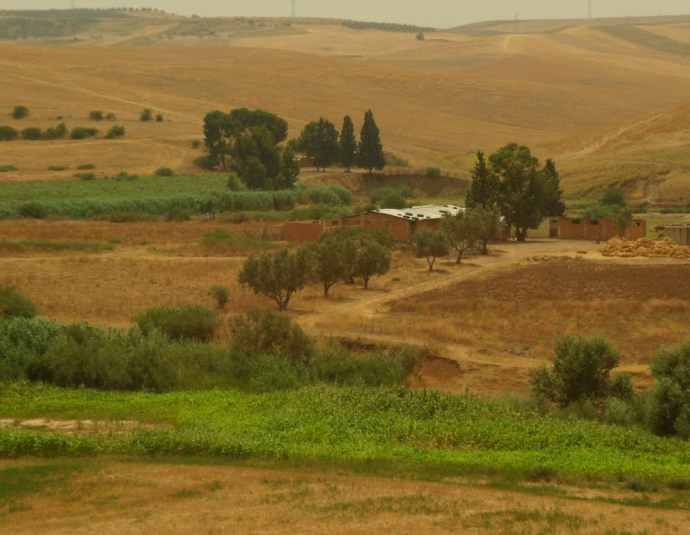 &copy; panoramio / D. Alexandru Ioan, http://www.panoramio.com/user/1490671