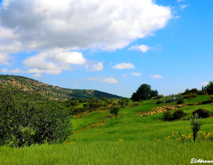 &copy; panoramio / elakramine, http://www.panoramio.com/user/831427