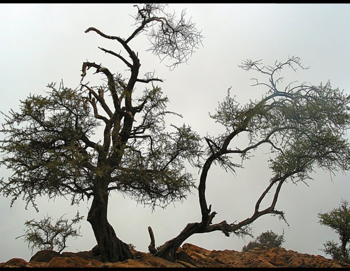 &copy; panoramio / Benoitdel, http://www.panoramio.com/user/4625922