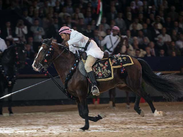 &copy; Salon du Cheval / Association du Salon du Cheval
