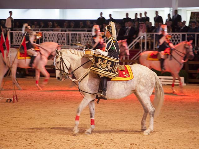 &copy; Salon du Cheval / Association du Salon du Cheval