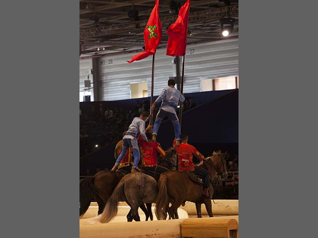&copy; Salon du Cheval / Association du Salon du Cheval