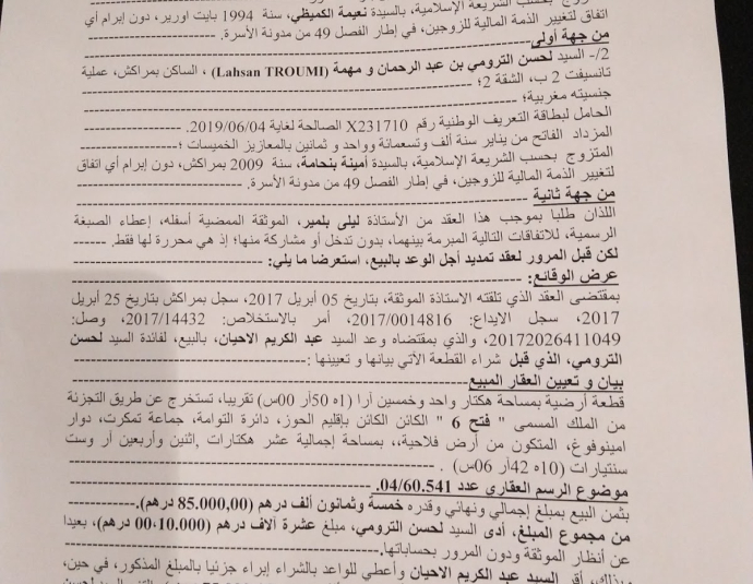 6.4 Gallery - Art Advisory