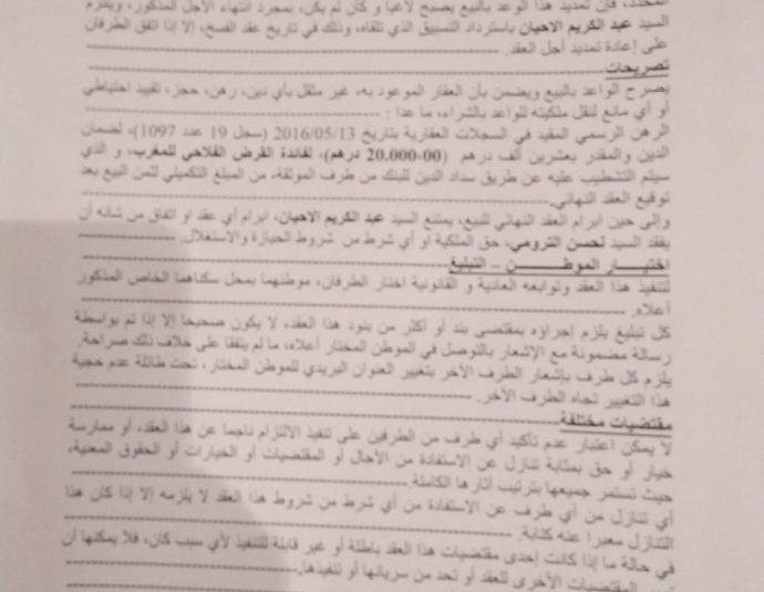 6.4 Gallery - Art Advisory