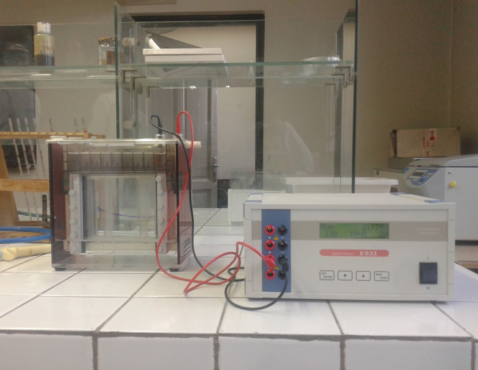 كلية علوم وتقنيات گليز