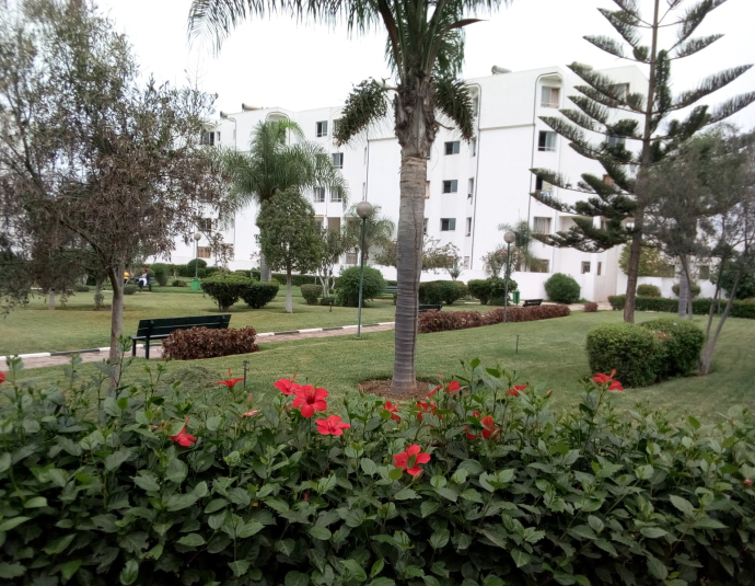 Cité Universitaire Internationale