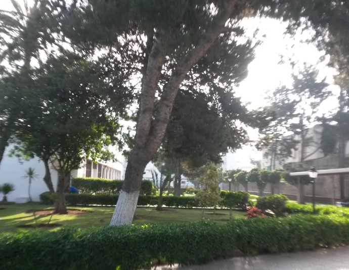 Faculté des Lettres et des Sciences Humaines - Ain Chock