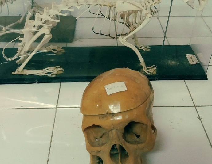 Faculté des Sciences Ibn Taoufik