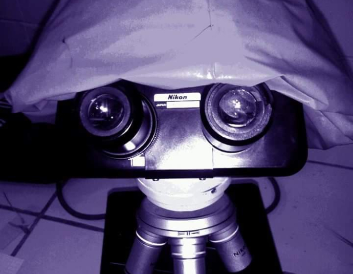 Faculté des Sciences Ibn Taoufik