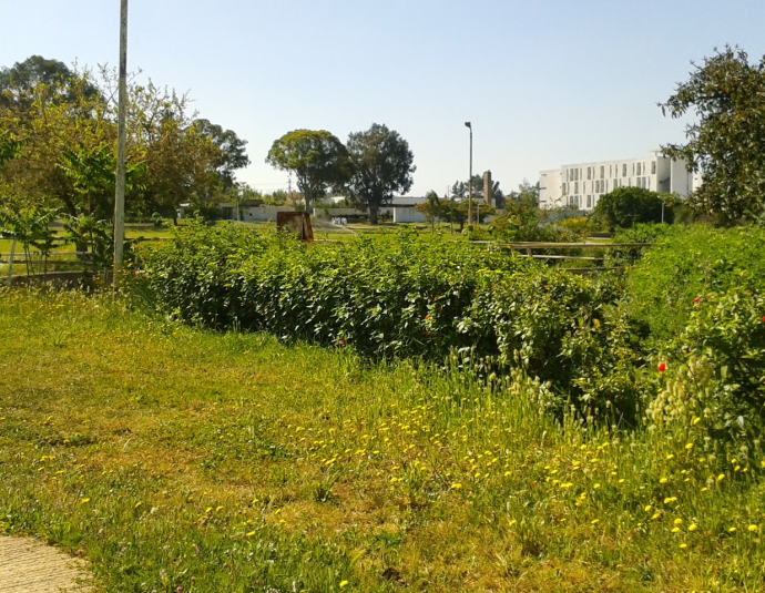 Institut Agronomique et Vétérinaire Hassan II