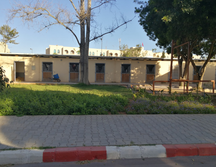 Institut Agronomique et Vétérinaire Hassan II