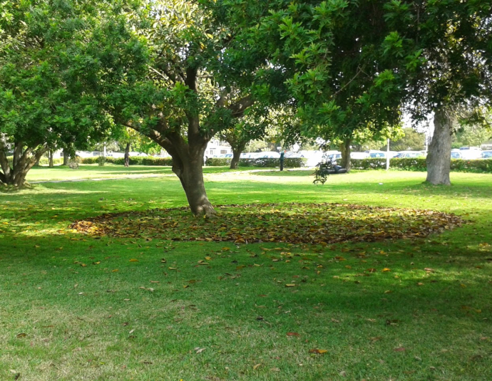 Institut Agronomique et Vétérinaire Hassan II