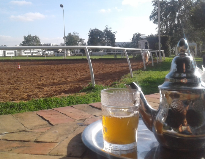 Institut Agronomique et Vétérinaire Hassan II
