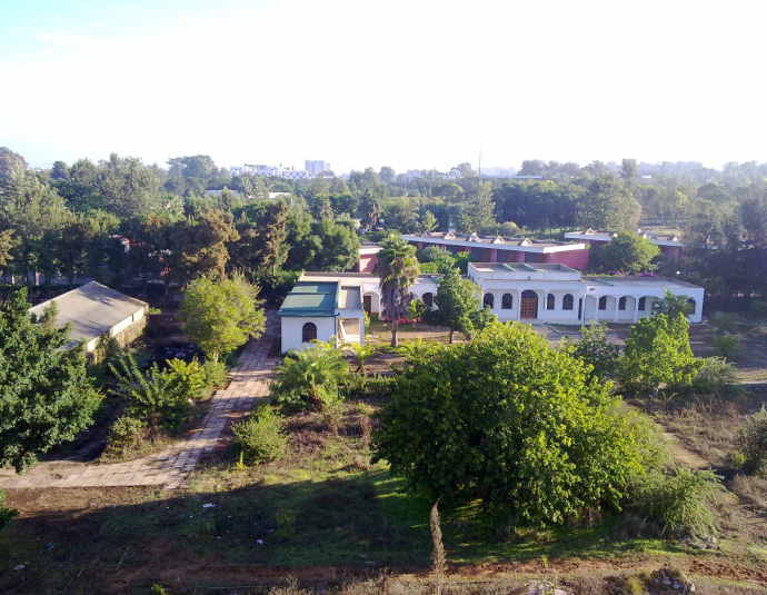 Institut Agronomique et Vétérinaire Hassan II