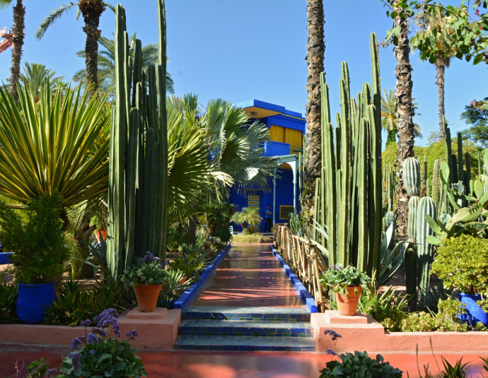 Jardin Majorelle