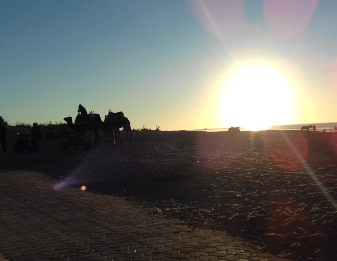 Les planches essaouira