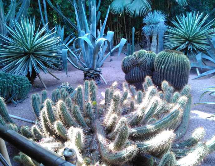 Musée Berbère Jardin Majorelle