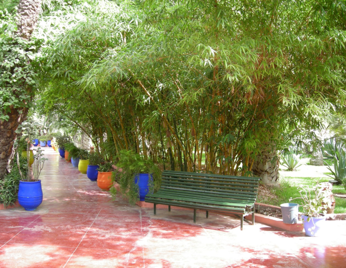 Musée Berbère Jardin Majorelle