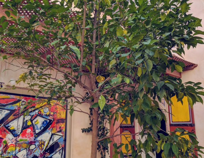 Museum of mouassine Douiria Derb el Hammam