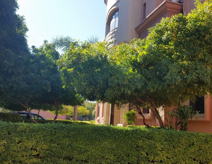 National School of Applied Sciences