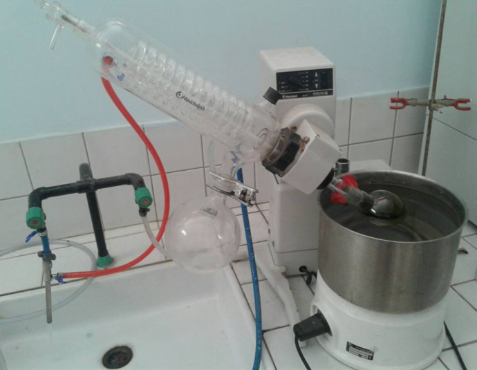 كلية علوم وتقنيات گليز